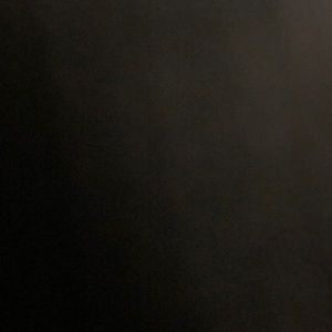 Meet your Posher, Zachary